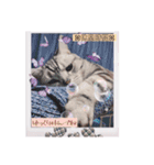 にゃんスタ☆あいさつSummer（個別スタンプ：7）
