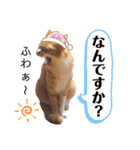 LIGHT＆LEONの日常スタンプ part2（個別スタンプ：4）