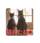 LIGHT＆LEONの日常スタンプ part2（個別スタンプ：8）