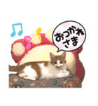 LIGHT＆LEONの日常スタンプ part2（個別スタンプ：20）