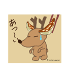 チャディー LINEスタンプ(Summer)（個別スタンプ：8）