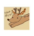 チャディー LINEスタンプ(Summer)（個別スタンプ：11）