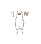 しろぶんの日常（個別スタンプ：4）