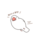 しろぶんの日常（個別スタンプ：11）