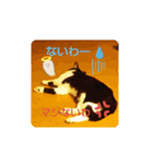 姫 まかり通る（個別スタンプ：2）