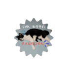 姫 まかり通る（個別スタンプ：3）