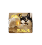 姫 まかり通る（個別スタンプ：4）