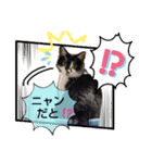 姫 まかり通る（個別スタンプ：6）