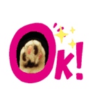 姫 まかり通る（個別スタンプ：8）