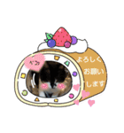姫 まかり通る（個別スタンプ：12）