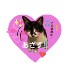 姫 まかり通る（個別スタンプ：16）