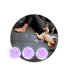 トモキとイブキ⑤（個別スタンプ：24）