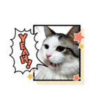 ちょろ◎【おめでとう】（個別スタンプ：1）