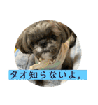 たおだお2（個別スタンプ：4）