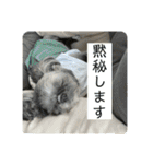 たおだお2（個別スタンプ：6）
