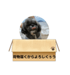 たおだお2（個別スタンプ：9）