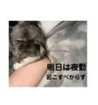 たおだお2（個別スタンプ：15）