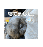 たおだお2（個別スタンプ：21）
