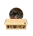 たおだお2（個別スタンプ：29）