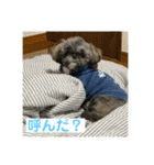 たおだお2（個別スタンプ：33）