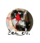 たおだお2（個別スタンプ：34）
