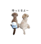 あいちゃんたち（個別スタンプ：25）