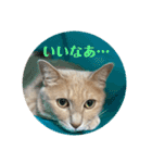 毎日！むぎさん！！②（個別スタンプ：9）