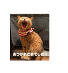 毎日！むぎさん！！②（個別スタンプ：21）