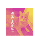 毎日！むぎさん！！②（個別スタンプ：33）