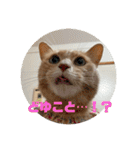 毎日！むぎさん！！②（個別スタンプ：35）