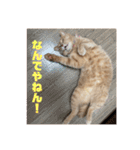 毎日！むぎさん！！②（個別スタンプ：39）