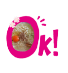 塩ラーメン召し上がれ（個別スタンプ：1）