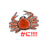 かにすたんぷ。（個別スタンプ：1）