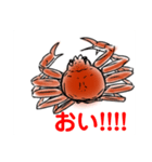 かにすたんぷ。（個別スタンプ：5）