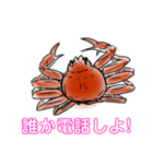 かにすたんぷ。（個別スタンプ：8）