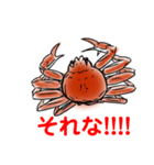 かにすたんぷ。（個別スタンプ：9）