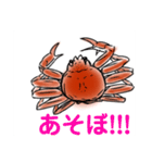かにすたんぷ。（個別スタンプ：11）