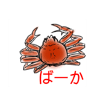 かにすたんぷ。（個別スタンプ：13）