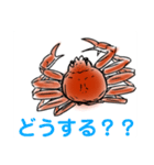 かにすたんぷ。（個別スタンプ：16）