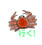 かにすたんぷ。（個別スタンプ：19）
