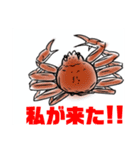 かにすたんぷ。（個別スタンプ：24）