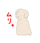 かわいいワンコ ポンタとゆき（個別スタンプ：5）