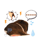 毎日.可愛いモルモット(天竺鼠LOVE台湾語)（個別スタンプ：25）