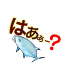 ダイビングで見る魚たちで毎日トーク（個別スタンプ：17）