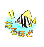 ダイビングで見る魚たちで毎日トーク（個別スタンプ：25）