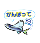 ダイビングで見る魚たちで毎日トーク（個別スタンプ：38）