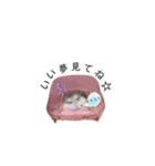 はむちゃんズ。（個別スタンプ：16）