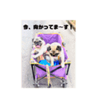 うちのもむこさん（個別スタンプ：24）
