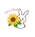 うさぎサマー 毎日スタンプ（個別スタンプ：12）