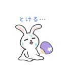 うさぎサマー 毎日スタンプ（個別スタンプ：17）